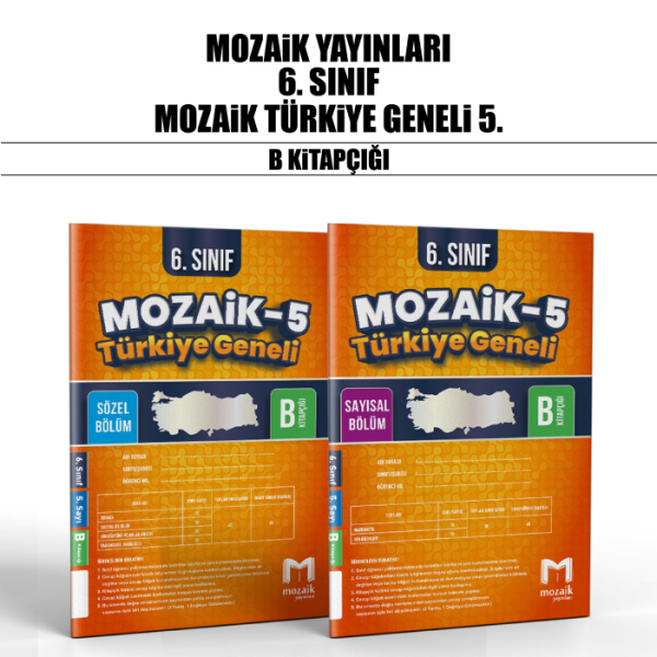MOZAİK 06.SINIF SÜREÇ ODAK (SOD) SY/SZ 5-B - 25-26